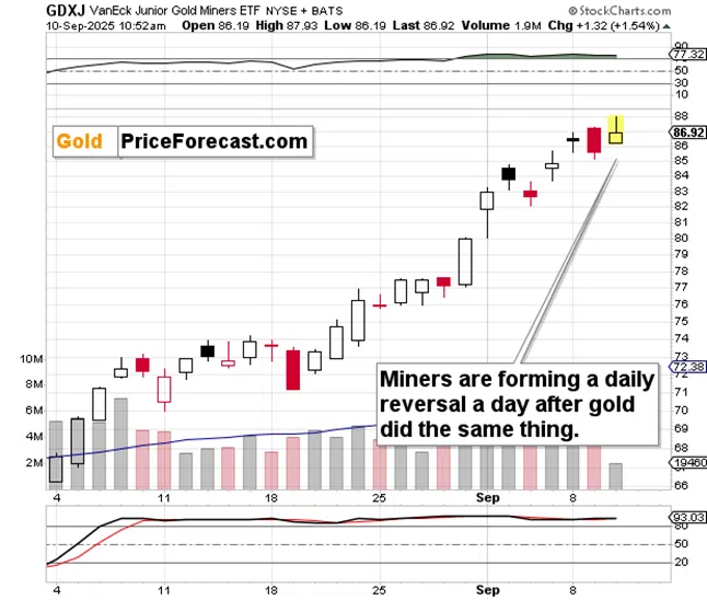 Gold Already Reversed – It’s Miners’ Turn - Image 2
