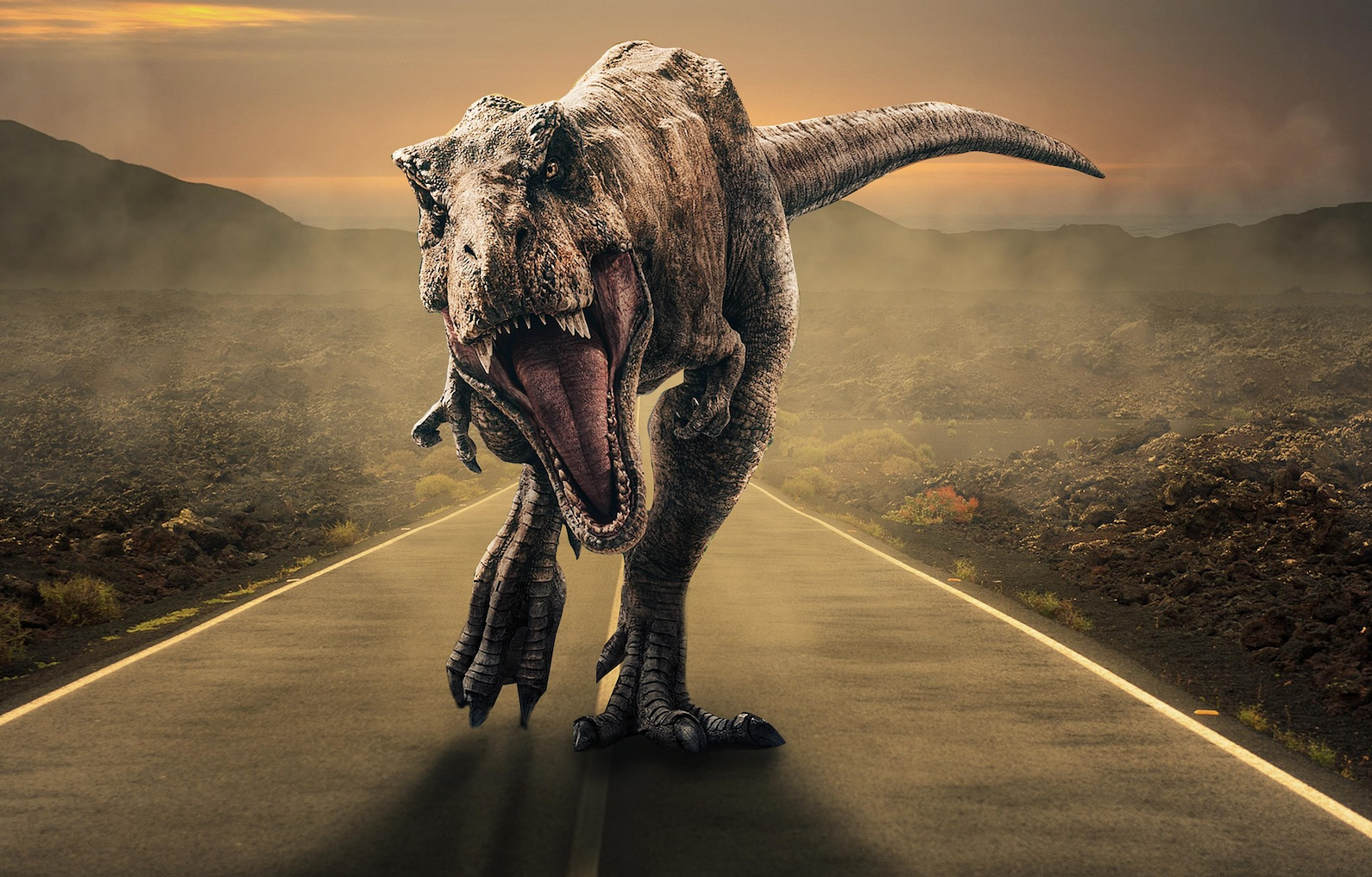 Are You Holding a Disruptor … or a Dinosaur?