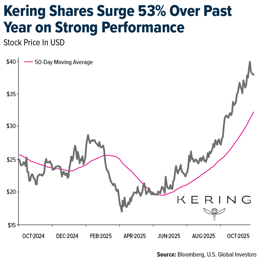 Kering Shares Surge 53% Over Past Year on Strong Performance