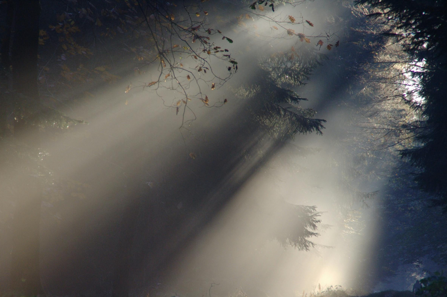 The Return To Essential Selling: Clarity, Change, and Cutting Through the Fog