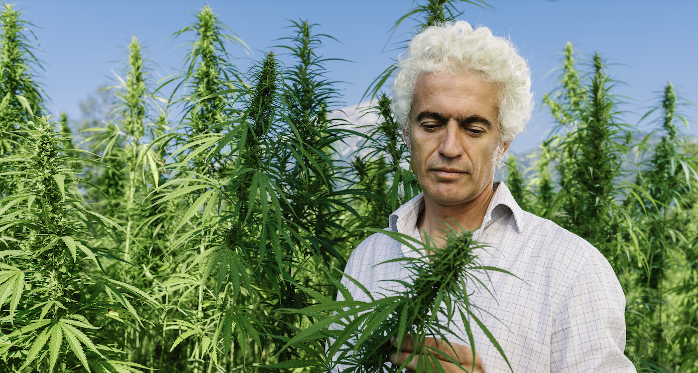 ACB Stock: Why Aurora Cannabis Has Tanked 70% in 2022