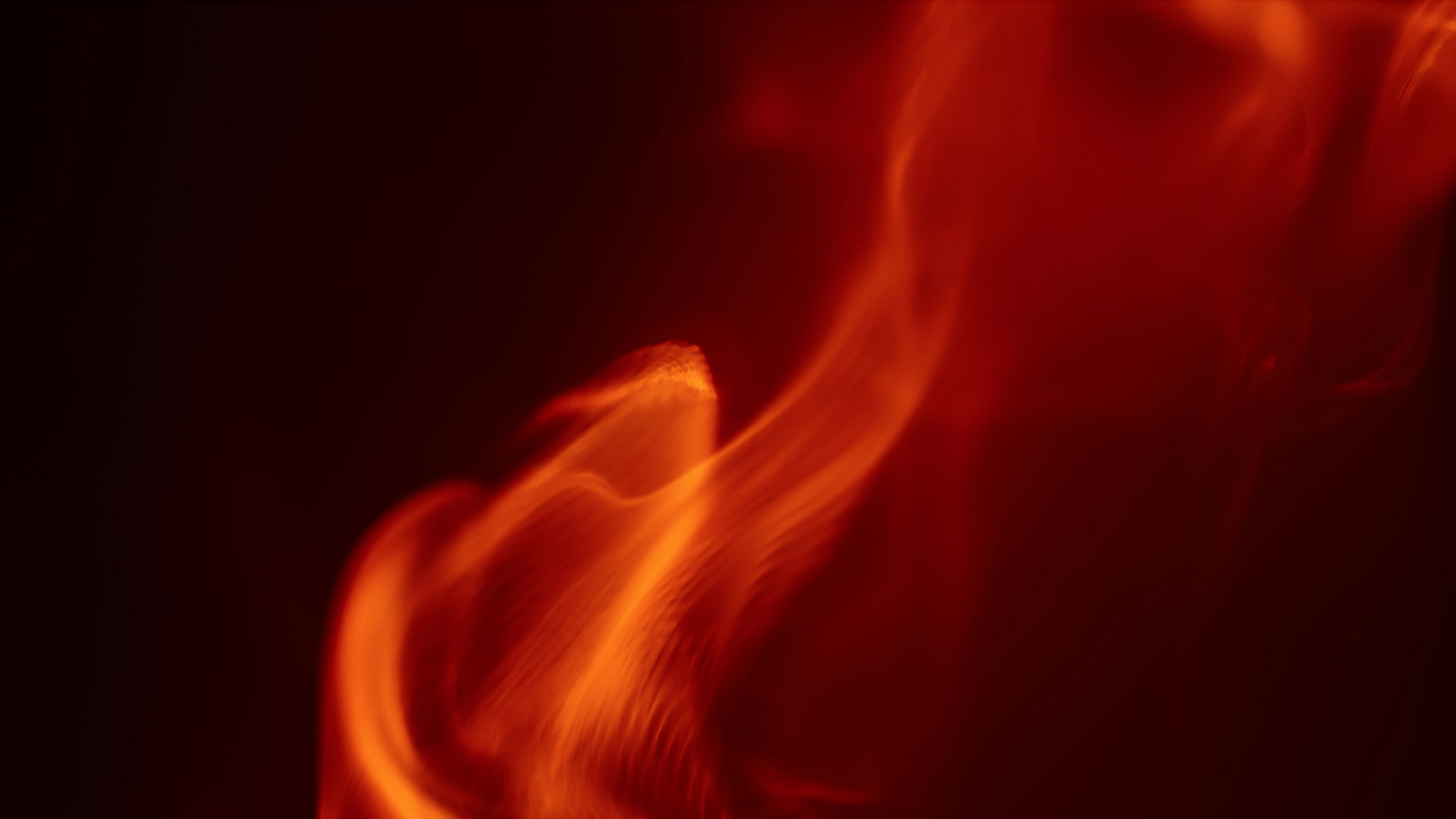 Reignite Your Leadership: A CEO's Guide to Team Motivation and Self-Care