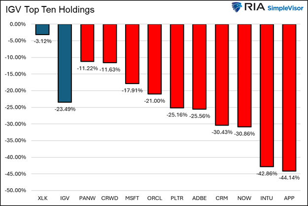 igv top ten holdings