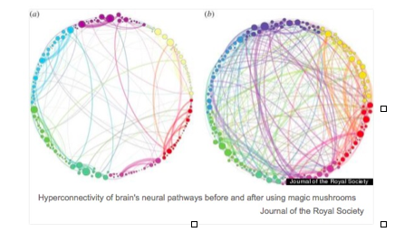 Hyper Connectivity 