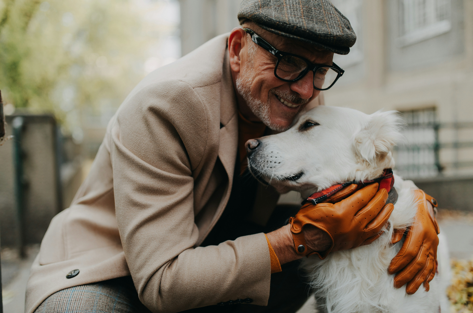 Keeping Older Dogs and Their Owners Safe as Years Go By