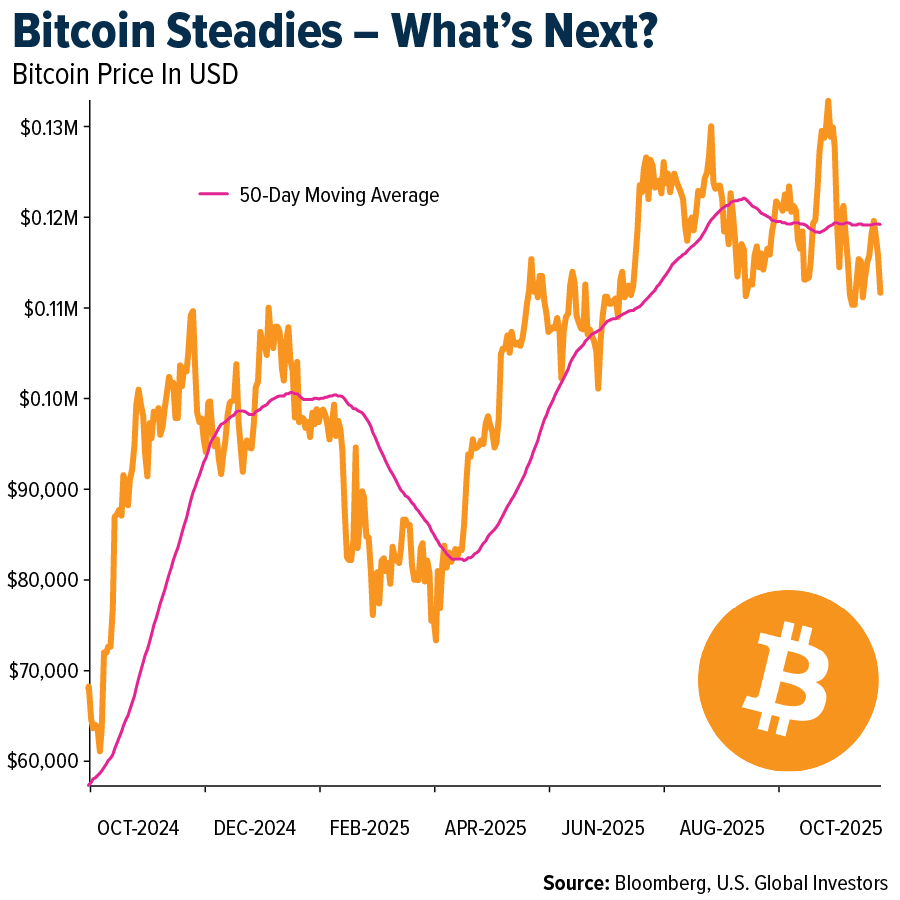 Bitcoin Steadies - What's Next