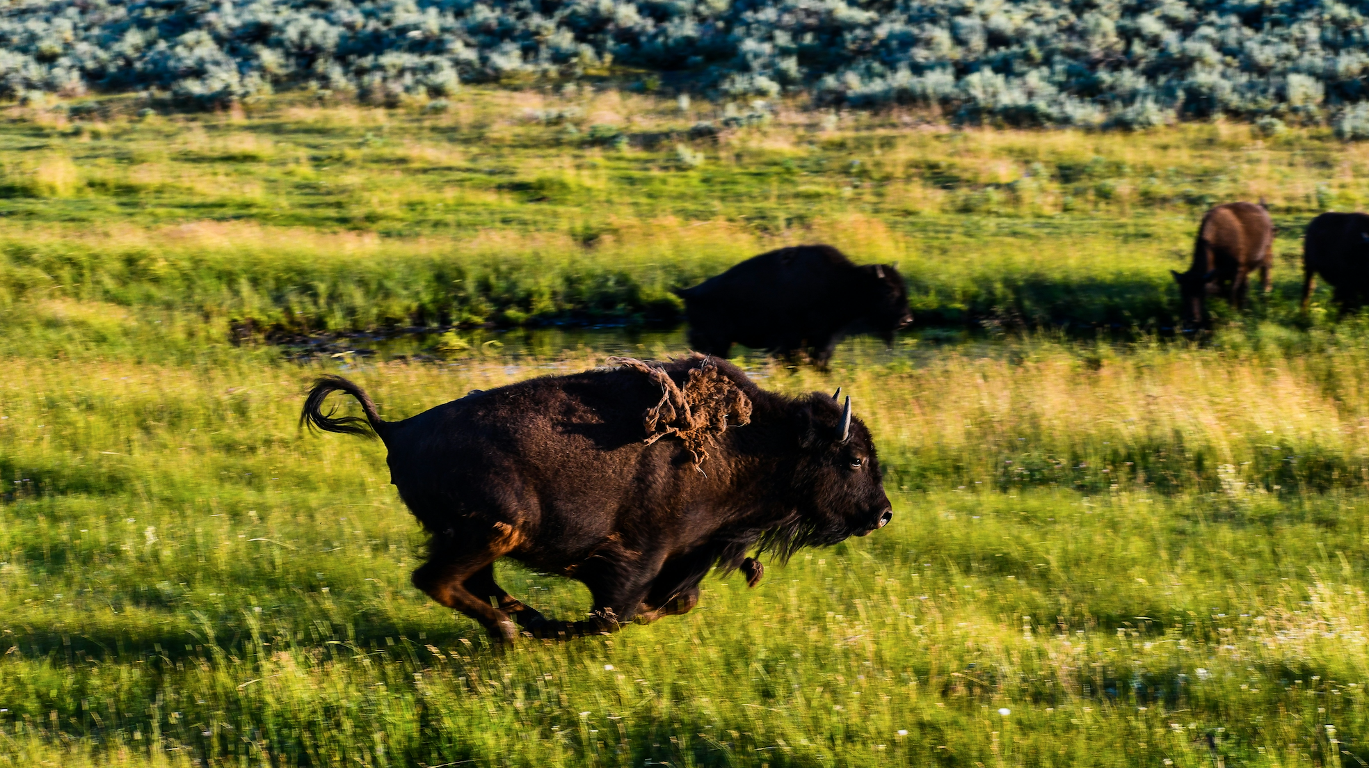 Can the Bull Keep Running? Why the Market’s Momentum Might Just Be Getting Started