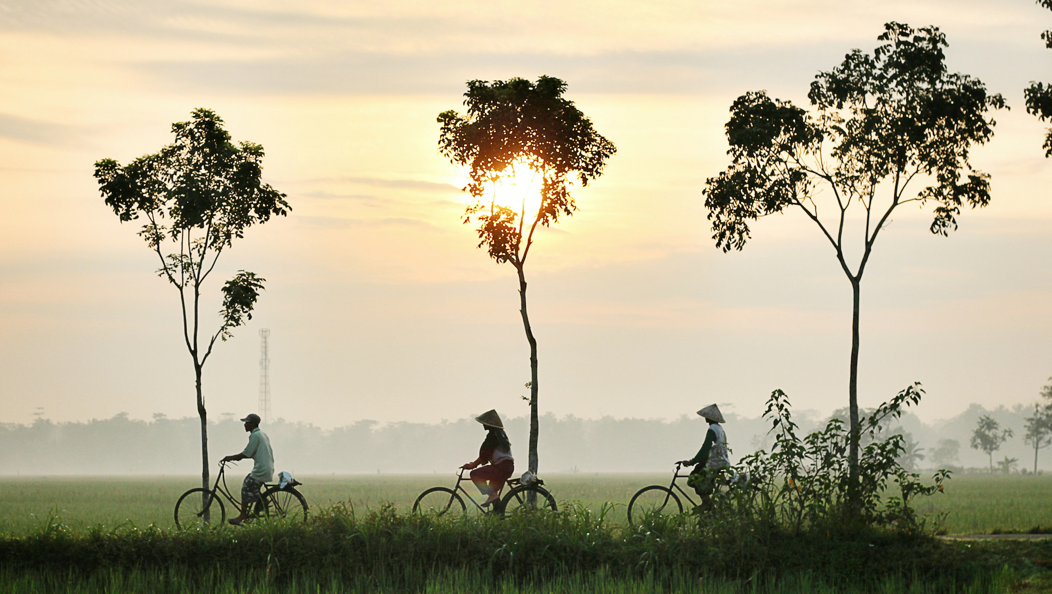 Financial Aspects of Indonesian Tourism Boom: Insights