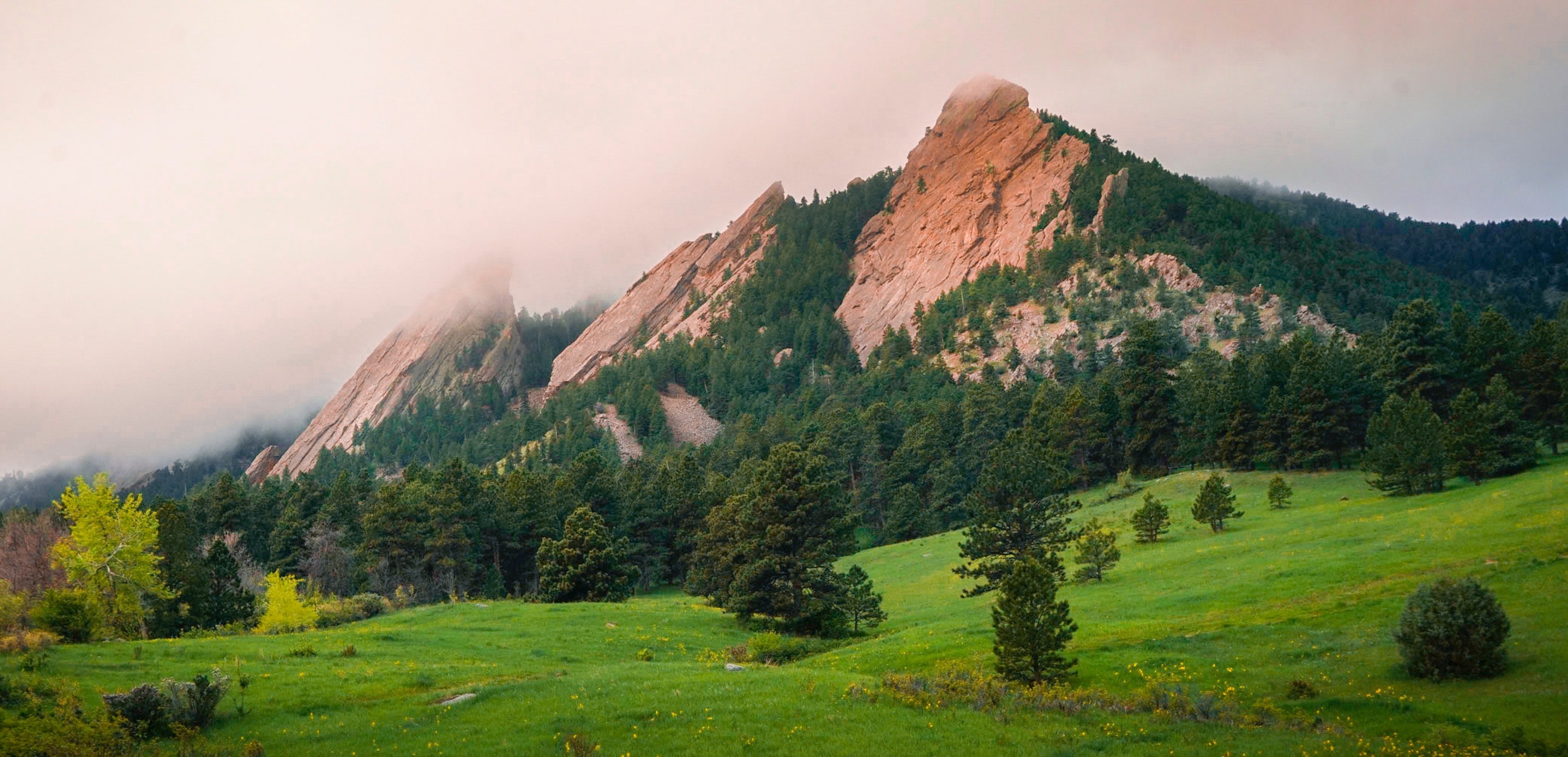 How a COO Balances and Fulfills An RIA’s HR & Ops Needs