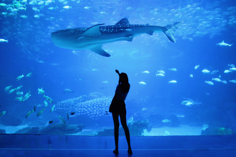 The 9 Factors That Lead to a Deal on Shark Tank