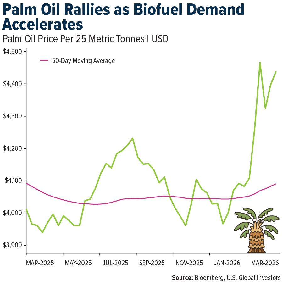 Palm Oil Rallies as Biofuel Demand Accelerates