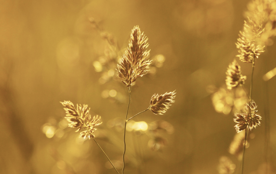 3 Mining Stocks for Investors Seeking Gold Exposure
