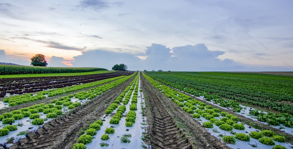 What Is Spatial Finance?