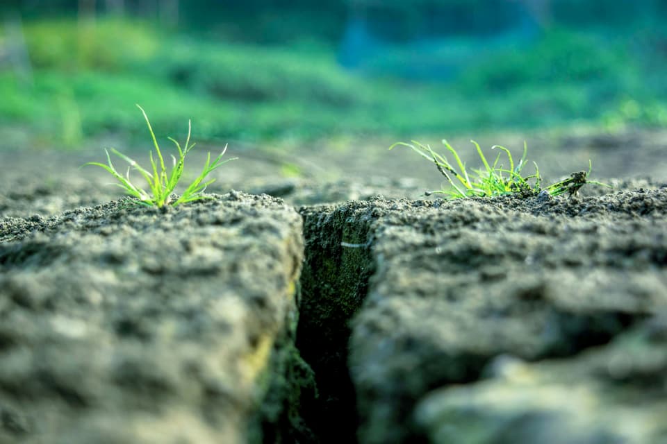 The Organic Growth Crisis in Wealth Management