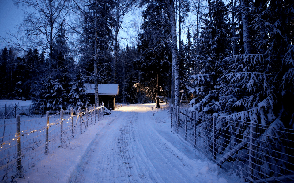 3 Holiday Questions I Love Asking Every Year