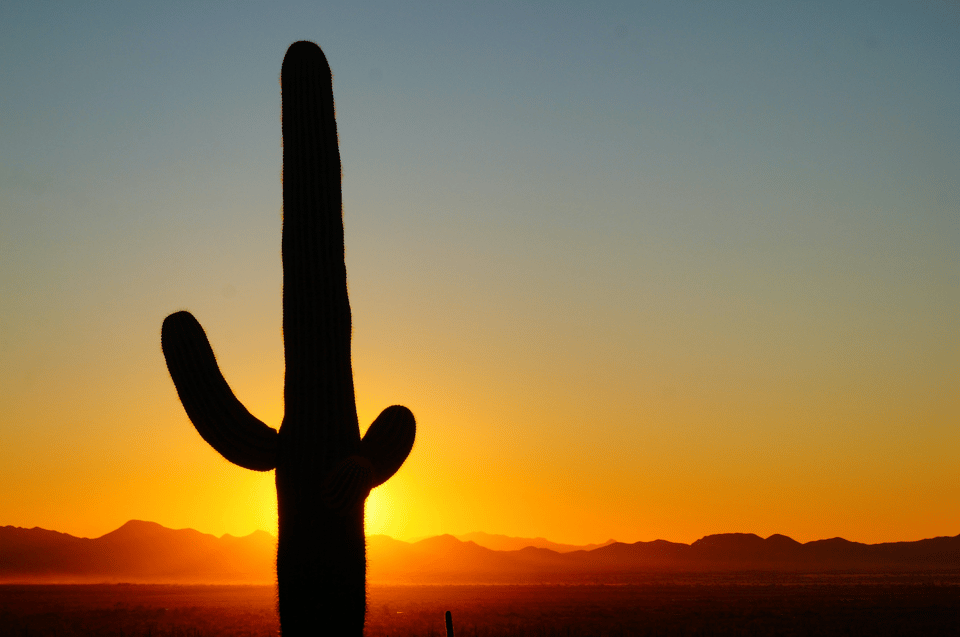 The Decline of ESG: Are Investors Backing Away?