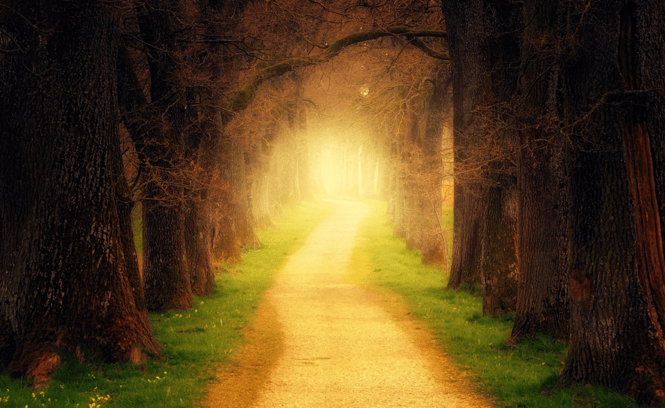 The Well-Trodden Path Rarely Leads to Your Desired Destination