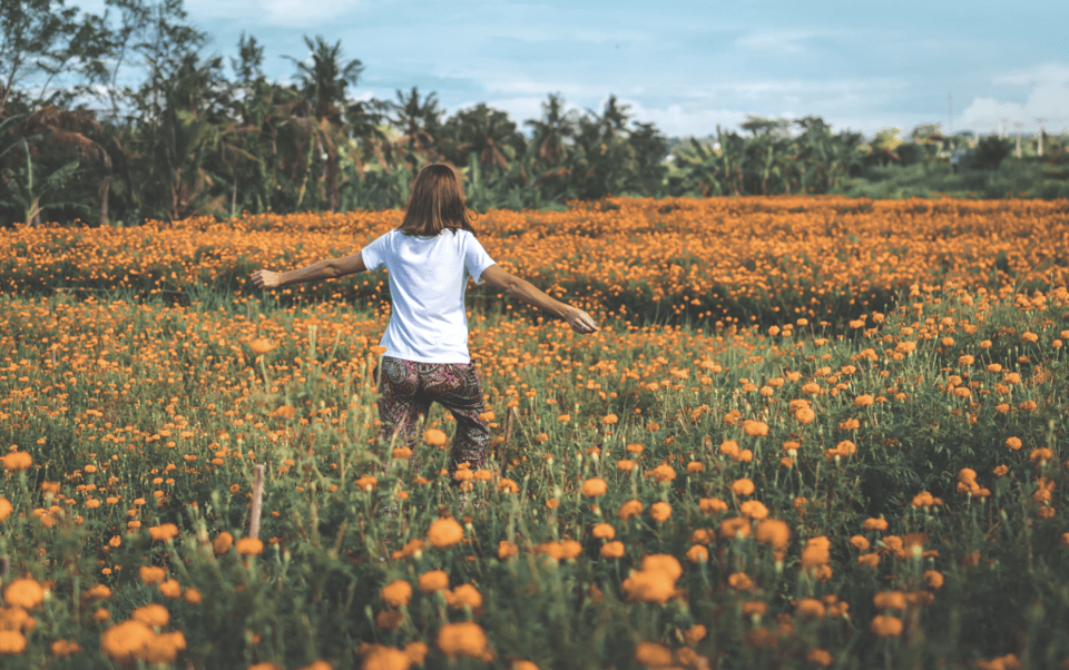 Understanding LIRP: the Life Insurance Retirement Plan