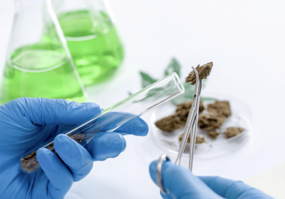 Testing Labs: The Cash Cows of Cannabis Investments