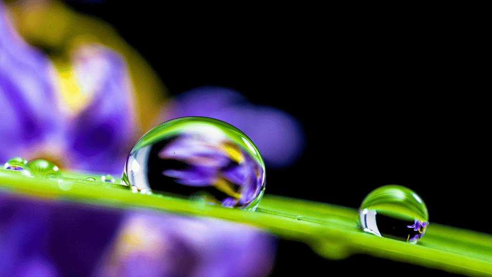 Efficiency Isn’t Everything: The Real Risk of a Narrow Focus