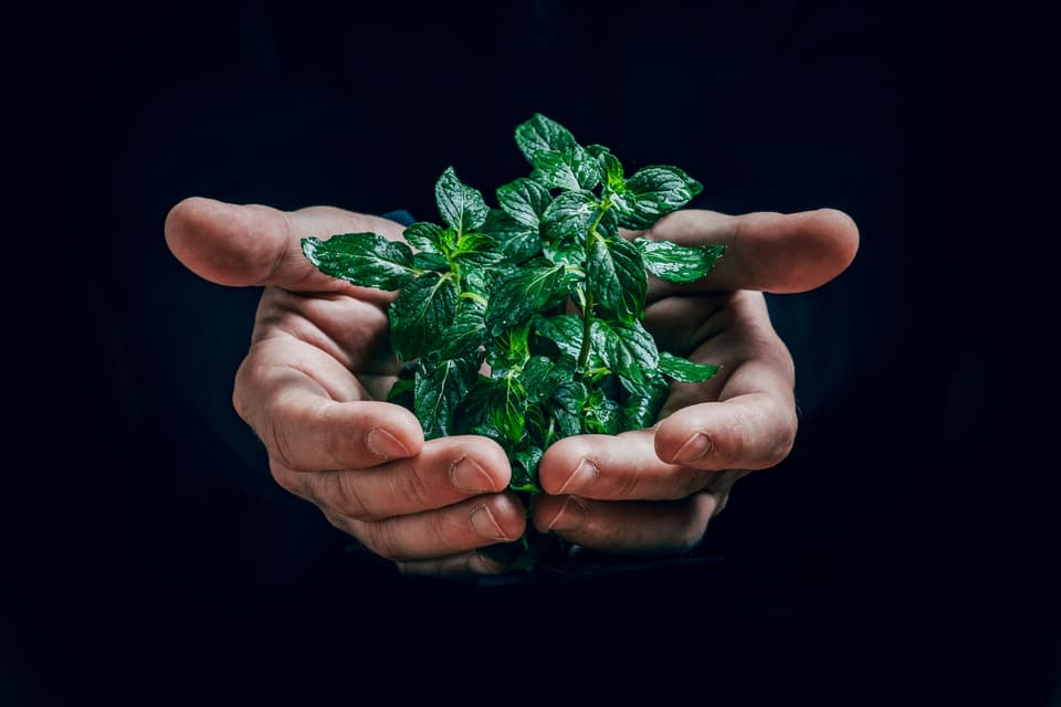 What Investors Really Want From Responsible Investing