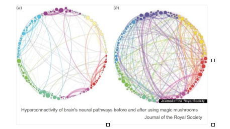 Hyper Connectivity