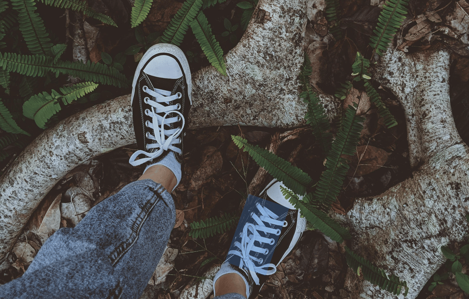 Some Seasons Are for Roots, Not Fruits—and That’s Where Real Growth Begins