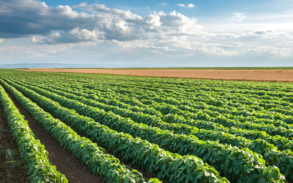Race for Food Security Could Define Global Power in Coming Decades
