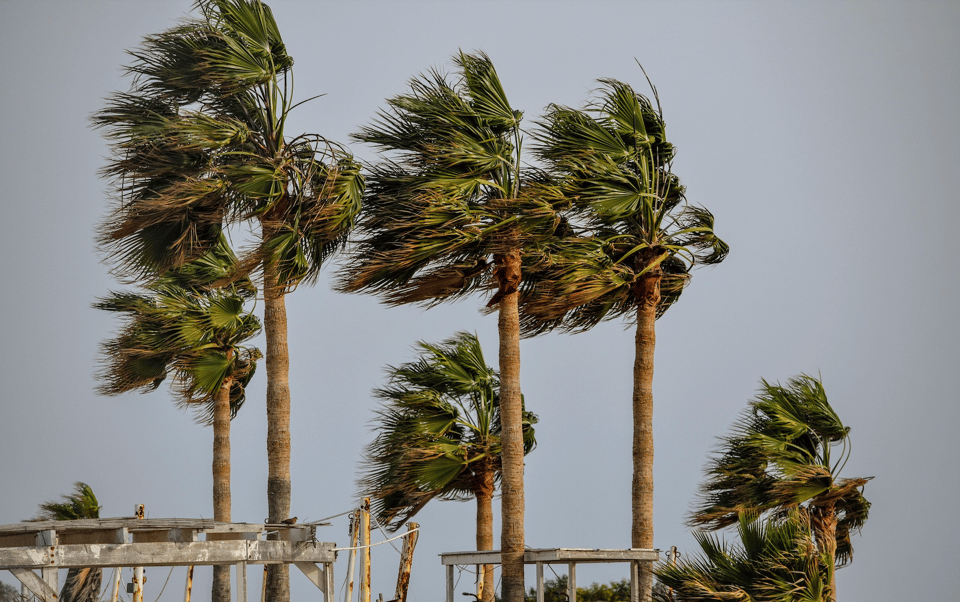 Resilience: The Silent Force Behind Thriving in Tough Times